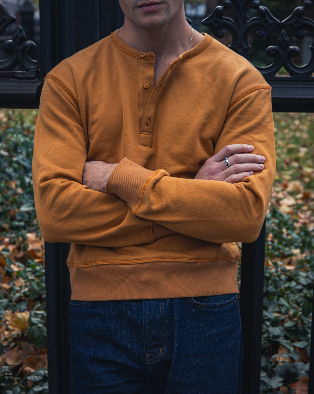 Field Henley in Autumn